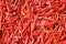 Red dried chilli background