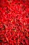 Red dried chillies background