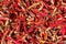 Red dried chillies texture background
