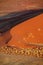 Red dune in the namib desert