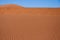 Red Dunes in Namib Deset, Namibia