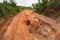 Red dust and mud road in poor condition with large holes and bumps formed after rain. Routes to Andringitra national park are