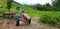 Red E-taen Thai tractor modifies to used for the shuttle and pick up or drop off people parked on mud ground