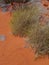 Red earth in the Northern Territory