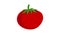 Red eco tomato icon animation