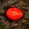 Red egg lies on the hair of the girl. Nest of hair. Bright painted egg. Easter Holiday