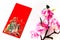 Red envelope put on white background, red envelope is gift,  blossom on special days such as chinese new year