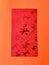 A red envelope with the surname \\\'Wu\\\' written in Chinese characters and some dragon designs on orange background.