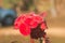 Red euphorbia milii flowers bloomingPoi sian