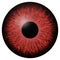 Red eye iris macro illustration