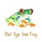 Red eye tree frog Agalychnis callidryas isolated on white hand painted watercolor illustration