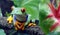 Red-Eyed Tree Frog