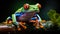 The Red Eyed Tree Frog