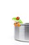 Red-eyed tree frog in cooking pot