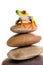 Red Eyed Tree Frog on a stack of rocks