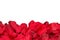 Red fabric rose petals border over white background top view from above - marriage, love, wedding or valentine`s day background