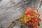 Red fall foliage of maple seedlings with driftwood in Maine.