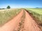 Red farm road between barley fields. Dusty dirt road through