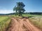 Red farm road between barley fields. Dusty dirt road through