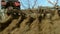 Red farm tractor harrows field road in local orchard farm