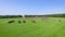 Red farming tractors riding on green field in summer