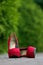 Red female shoes on a cobbled footpath in the Park.