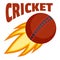 Red fire ball cricket logo, flat style