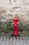 Red fire hydrant against a stone wall