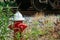 Red fire hydrant on bark ground cover, front of a bush that is starting to show fall colors.