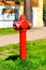 Red fire hydrant on green glade, Bialystok, Poland