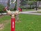 Red fire hydrant water pipe for firefighters in the garden