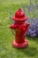 Red Fire Plug