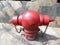 Red fire plug/ fire plug