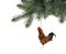 Red fire rooster hanging on the christmas tree