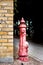 Red fireplug on the street - fire brigade and fire prevention