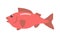 Red Fish Cartoon Flat Vector Illustration