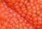 Red fish caviar texture blurred background, close-up