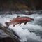 Red fish salmon trout jumps out of a mountain stream, a beautiful bright fish,