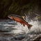 Red fish salmon trout jumps out of a mountain stream, a beautiful bright fish, a good background