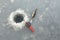 Red fishingrod and a silver lure next to a hole in the ice and a perch