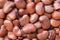 Red flat beans. Protein rich food. Healthy diet