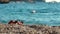 Red flip flop or sandal shoes on small pebbles beach, blurred calm turquoise sea with person swimming behind. Afternoon sunny