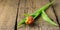 Red Floral Tulip on Old Wooden Background Horizontal Copy Space Long