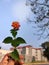 Red flower in blue sky.