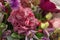 Red flower carnation in bouquet closeup