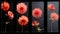 Red Flower Glass Display Stunning Designs Inspired By Ed Freeman