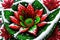 a red flower with green leaves and snow and a dark background by AI Generated