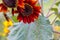 Red Flower, Red Sunflower, Moulin Rouge, Prado red sunflowers