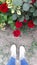 Red flower road below my feet