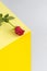 Red flower on yellow and gray background. Copy space. Minimal Women`s day and spring concept